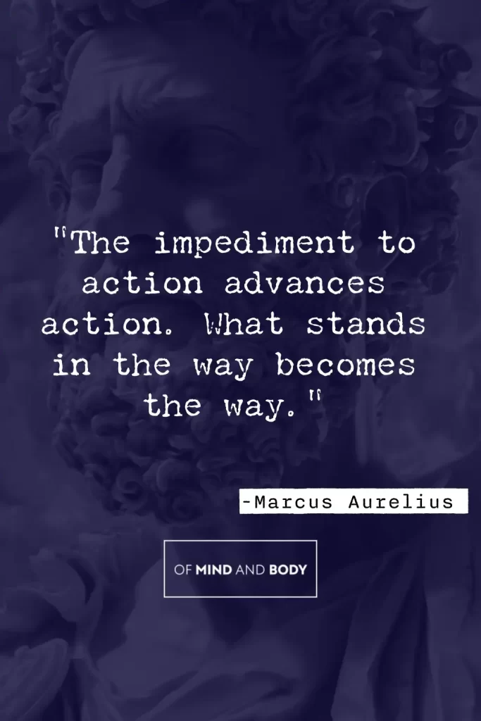 Stoic Quotes on Adversity - "The impediment to action advances action. What stands in the way becomes the way."