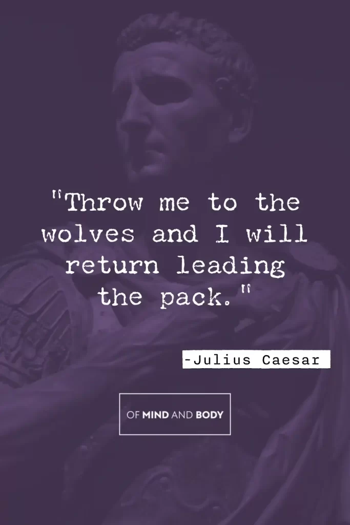 Stoic Quotes on Adversity - "Throw me to the wolves and I will return leading the pack."