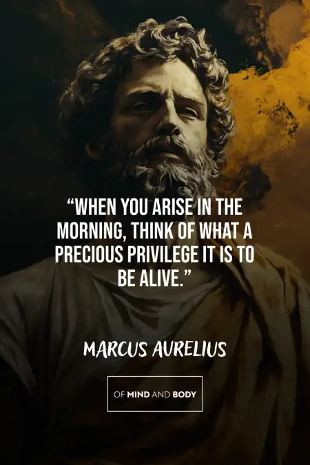 30 Marcus Aurelius Quotes for a Fulfilling Life